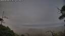 ./images/calvert/fitz-hugh-hecate/20250630/fitz-hugh-hecate20250630_220509M.jpg