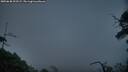 ./images/calvert/fitz-hugh-hecate/20250630/fitz-hugh-hecate20250630_222509M.jpg