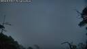 ./images/calvert/fitz-hugh-hecate/20250630/fitz-hugh-hecate20250630_223007M.jpg