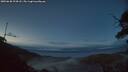 ./images/calvert/fitz-hugh-hecate/20250630/fitz-hugh-hecate20250630_224508M.jpg