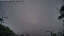 ./images/calvert/fitz-hugh-hecate/20250701/fitz-hugh-hecate20250701_050007M.jpg
