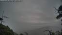 ./images/calvert/fitz-hugh-hecate/20250701/fitz-hugh-hecate20250701_052508M.jpg