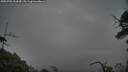 ./images/calvert/fitz-hugh-hecate/20250701/fitz-hugh-hecate20250701_053009M.jpg