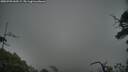 ./images/calvert/fitz-hugh-hecate/20250701/fitz-hugh-hecate20250701_060509M.jpg