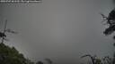 ./images/calvert/fitz-hugh-hecate/20250701/fitz-hugh-hecate20250701_061510M.jpg