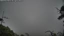./images/calvert/fitz-hugh-hecate/20250701/fitz-hugh-hecate20250701_074510M.jpg