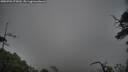 ./images/calvert/fitz-hugh-hecate/20250701/fitz-hugh-hecate20250701_075010M.jpg