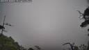 ./images/calvert/fitz-hugh-hecate/20250701/fitz-hugh-hecate20250701_084009M.jpg