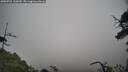 ./images/calvert/fitz-hugh-hecate/20250701/fitz-hugh-hecate20250701_100010M.jpg