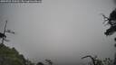 ./images/calvert/fitz-hugh-hecate/20250701/fitz-hugh-hecate20250701_100510M.jpg