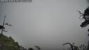 ./images/calvert/fitz-hugh-hecate/20250701/fitz-hugh-hecate20250701_101008M.jpg