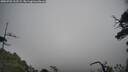 ./images/calvert/fitz-hugh-hecate/20250701/fitz-hugh-hecate20250701_112509M.jpg
