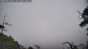 ./images/calvert/fitz-hugh-hecate/20250701/fitz-hugh-hecate20250701_120505M.jpg