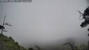 ./images/calvert/fitz-hugh-hecate/20250701/fitz-hugh-hecate20250701_130010M.jpg