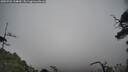 ./images/calvert/fitz-hugh-hecate/20250701/fitz-hugh-hecate20250701_134009M.jpg