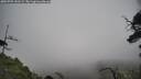 ./images/calvert/fitz-hugh-hecate/20250701/fitz-hugh-hecate20250701_141509M.jpg