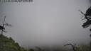 ./images/calvert/fitz-hugh-hecate/20250701/fitz-hugh-hecate20250701_151510M.jpg
