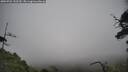 ./images/calvert/fitz-hugh-hecate/20250701/fitz-hugh-hecate20250701_152510M.jpg