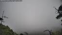 ./images/calvert/fitz-hugh-hecate/20250701/fitz-hugh-hecate20250701_153508M.jpg