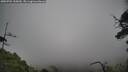 ./images/calvert/fitz-hugh-hecate/20250701/fitz-hugh-hecate20250701_155010M.jpg