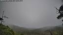 ./images/calvert/fitz-hugh-hecate/20250701/fitz-hugh-hecate20250701_160508M.jpg
