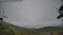 ./images/calvert/fitz-hugh-hecate/20250701/fitz-hugh-hecate20250701_161509M.jpg