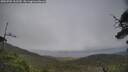 ./images/calvert/fitz-hugh-hecate/20250701/fitz-hugh-hecate20250701_162510M.jpg