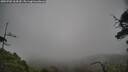 ./images/calvert/fitz-hugh-hecate/20250701/fitz-hugh-hecate20250701_164510M.jpg