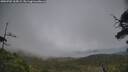 ./images/calvert/fitz-hugh-hecate/20250701/fitz-hugh-hecate20250701_165009M.jpg