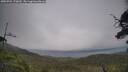 ./images/calvert/fitz-hugh-hecate/20250701/fitz-hugh-hecate20250701_170010M.jpg