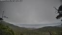 ./images/calvert/fitz-hugh-hecate/20250701/fitz-hugh-hecate20250701_171510M.jpg