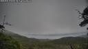 ./images/calvert/fitz-hugh-hecate/20250701/fitz-hugh-hecate20250701_172510M.jpg