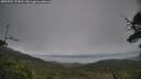 ./images/calvert/fitz-hugh-hecate/20250701/fitz-hugh-hecate20250701_173011M.jpg