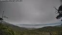 ./images/calvert/fitz-hugh-hecate/20250701/fitz-hugh-hecate20250701_173509M.jpg