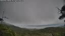 ./images/calvert/fitz-hugh-hecate/20250701/fitz-hugh-hecate20250701_174009M.jpg