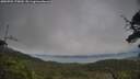 ./images/calvert/fitz-hugh-hecate/20250701/fitz-hugh-hecate20250701_175010M.jpg