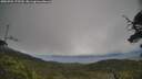 ./images/calvert/fitz-hugh-hecate/20250701/fitz-hugh-hecate20250701_175509M.jpg