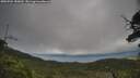 ./images/calvert/fitz-hugh-hecate/20250701/fitz-hugh-hecate20250701_180011M.jpg