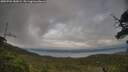 ./images/calvert/fitz-hugh-hecate/20250701/fitz-hugh-hecate20250701_182009M.jpg