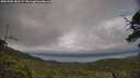 ./images/calvert/fitz-hugh-hecate/20250701/fitz-hugh-hecate20250701_182508M.jpg