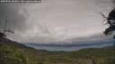 ./images/calvert/fitz-hugh-hecate/20250701/fitz-hugh-hecate20250701_184010M.jpg