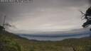 ./images/calvert/fitz-hugh-hecate/20250701/fitz-hugh-hecate20250701_184510M.jpg
