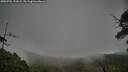 ./images/calvert/fitz-hugh-hecate/20250701/fitz-hugh-hecate20250701_191008M.jpg
