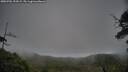 ./images/calvert/fitz-hugh-hecate/20250701/fitz-hugh-hecate20250701_192009M.jpg