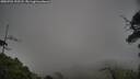 ./images/calvert/fitz-hugh-hecate/20250701/fitz-hugh-hecate20250701_192508M.jpg