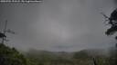 ./images/calvert/fitz-hugh-hecate/20250701/fitz-hugh-hecate20250701_193507M.jpg