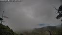 ./images/calvert/fitz-hugh-hecate/20250701/fitz-hugh-hecate20250701_194008M.jpg