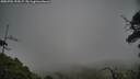 ./images/calvert/fitz-hugh-hecate/20250701/fitz-hugh-hecate20250701_195007M.jpg