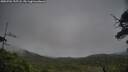 ./images/calvert/fitz-hugh-hecate/20250701/fitz-hugh-hecate20250701_195508M.jpg