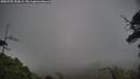 ./images/calvert/fitz-hugh-hecate/20250701/fitz-hugh-hecate20250701_200009M.jpg